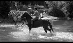 Horse trip across Spain - 1973