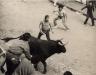 Gino running with the Bulls in 1966